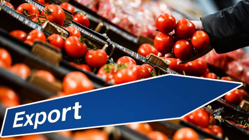 � 01.012024 �. ��������� ����������� �������� ������������� �������� ���� ����������������� ������� (�������� ������������� ������������� ��� �� 25.12.2023 �. �438)