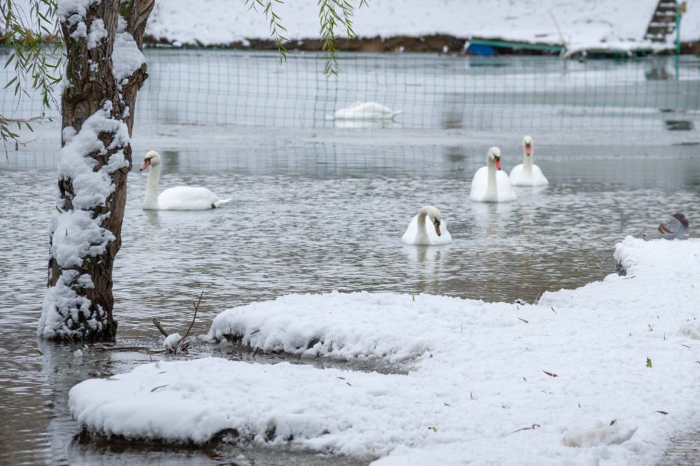 ���� ���������� �������. ���� �� ������ ����� ����, ���������� �������� � ������ ���������