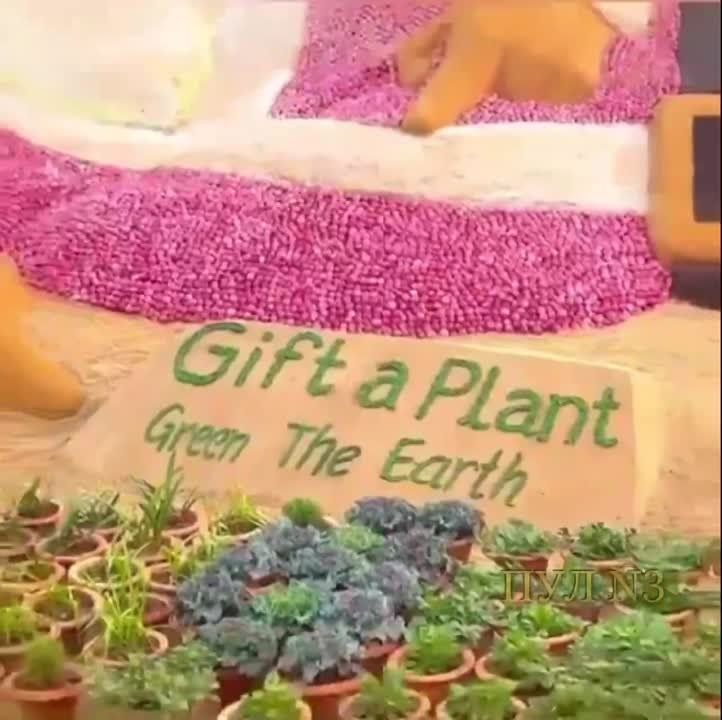 ������� ����� �� ���� ���������� ������