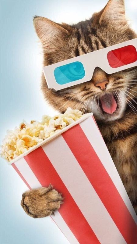 �� �����, ��� ��������� � ��� ����� ������� ������. � ��������. ��������� � ��� ����� ������ �������, � ����� �����