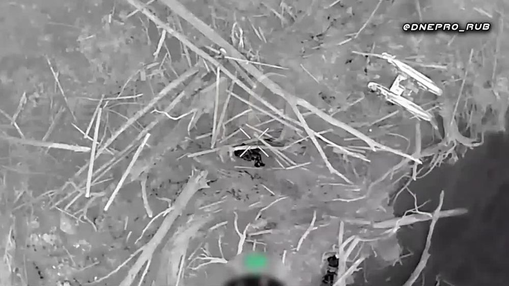 �������� �������� ������� ���������� ����� � ����������� ��������� � ���������� �������