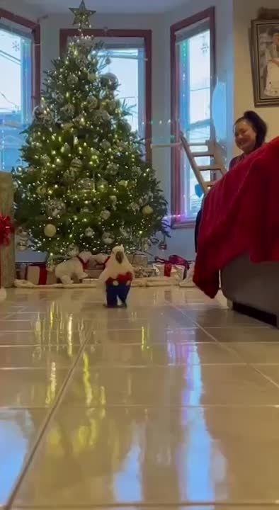 ����������� ������ �� ����� ���?