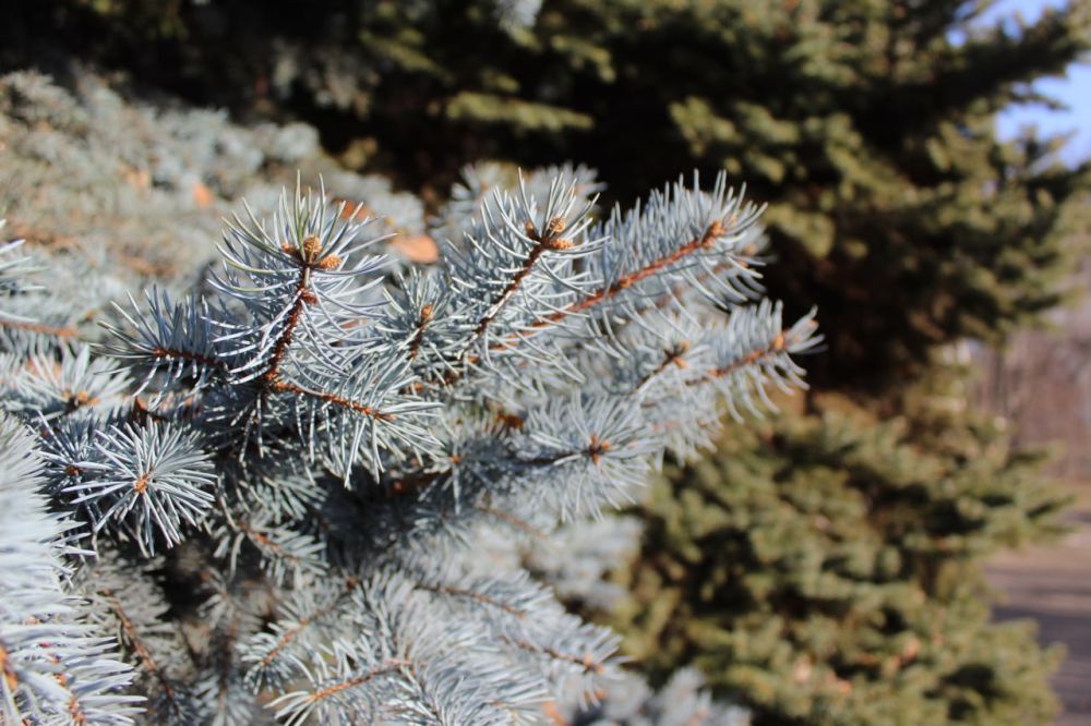 � ������. ������ ������ �� �������� ����������� ������������� ���������� ������ ��������� ���� � �������������...