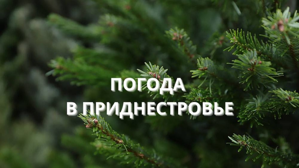 28 ������� ��������� ���������� ����������, ��� �������