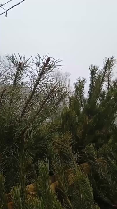 ���� � ������ � ������� � ���������