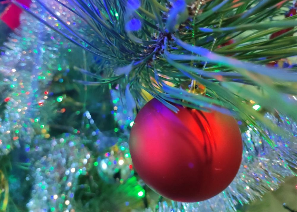 � ����� 2024 �����!. ������� ��������� ��������� � ��������� �������� ��� ���� ������� ����������� ���� �������������� �...