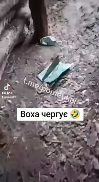 � ������ ����������� �� ����� �������� � ���������� � ��������� �����