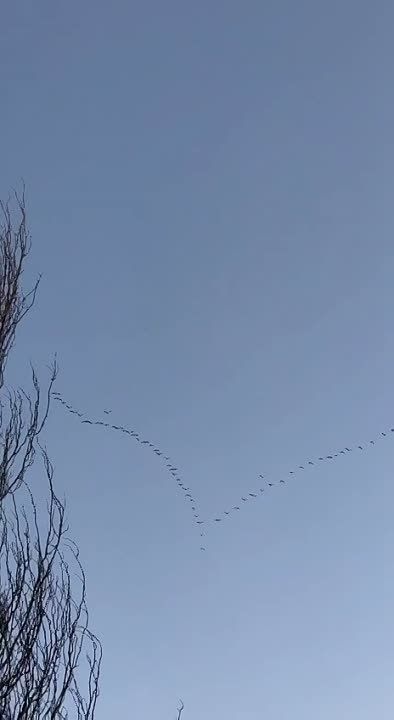 ���������� ���� ��������� ����, ��������� �� ��. �������, �� ���� ���������, ���� ���������