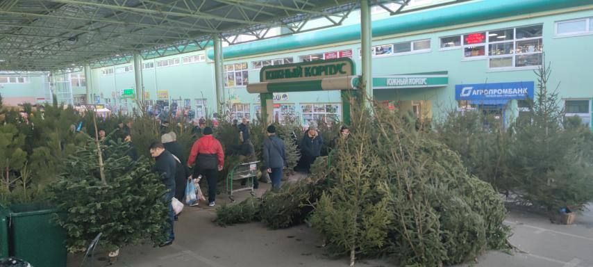 �� ���� �� ������ ���� �� ����� ����� ������ ������ - �������� ���������� ����