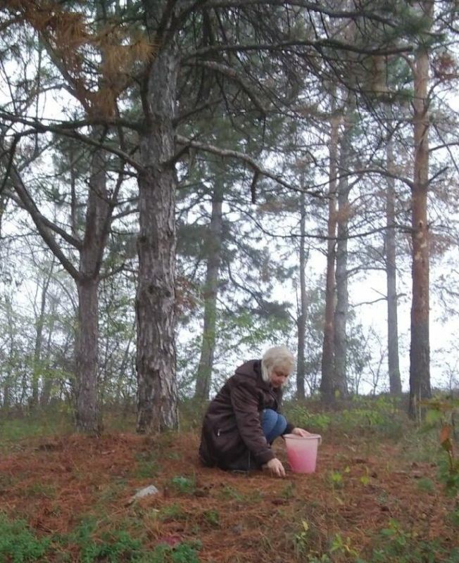 ���-�� � ��������� ���� ��������� ���� ������ �� ���������, ���-�� �������� ���������� ������, ���-�� ���� ���� �� ������� �� �����, ������ ����������� �����