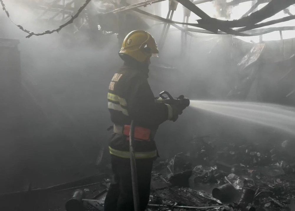 ������� � ���� ���������. ������������ �� ���������� ���������������: