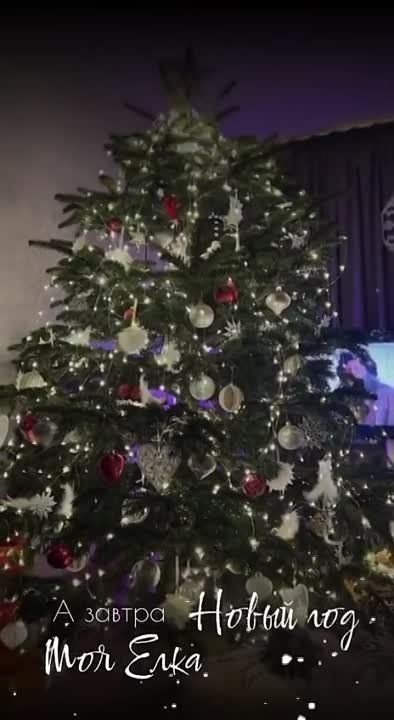 ������������� ���������� ������ ������