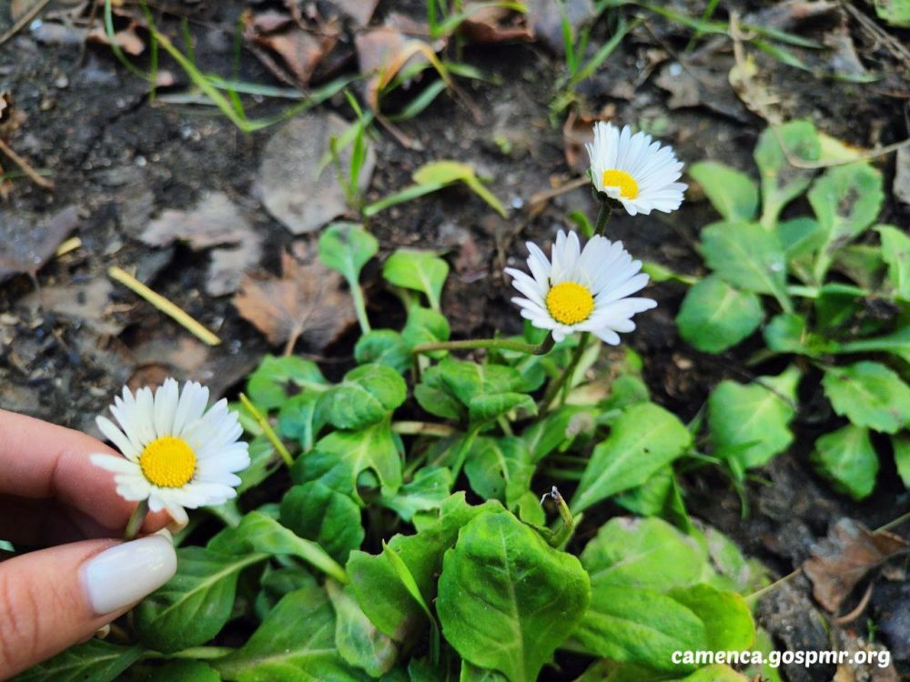 �������. 31 ������� 2023-��