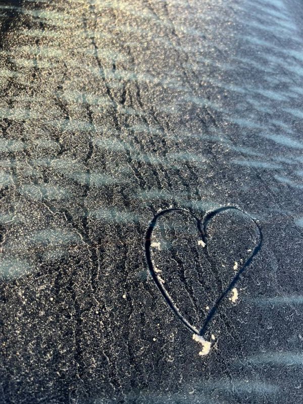 ���-�� ������� �� ���� ��������� ����� ����� ����