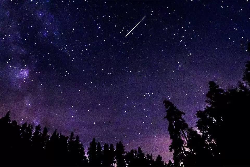 ����� 2024 ��� �������� �� ���������� �����������