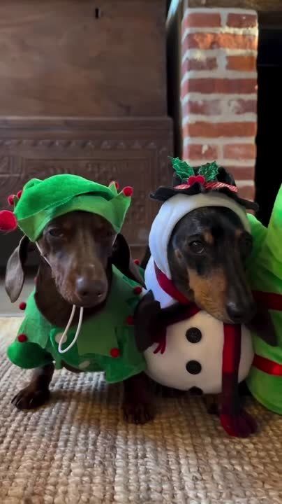 � ������ ���� ������!