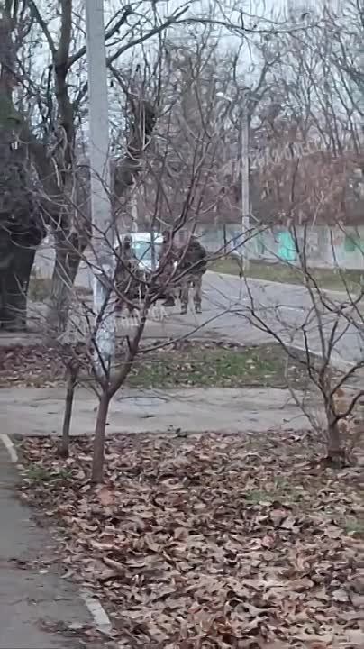 � ������ ������� ������� �������� �������������� ����������� ��-�� ����������� � ���� ���������