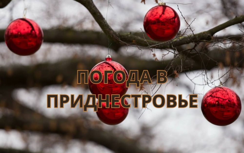 3 ������ ��������� �������� ������, ���� ������� ������ �����