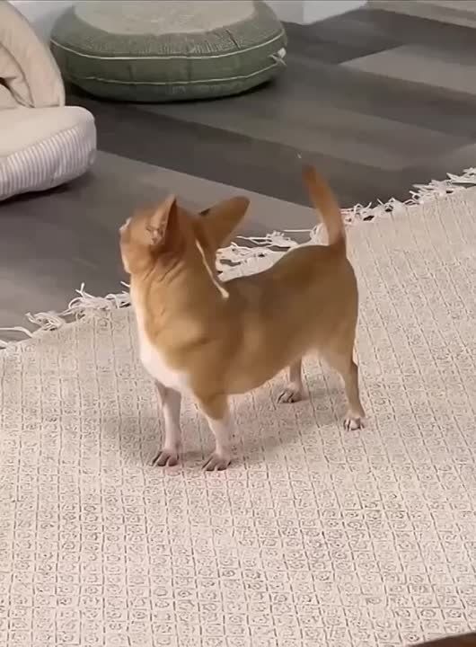 ��������� �����