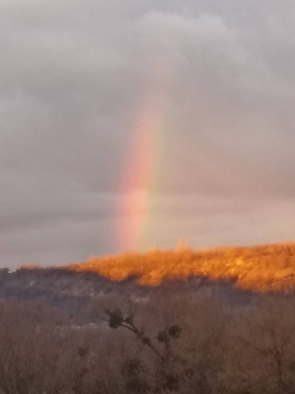 � ������ ������� ������� ����� ����� ��������� ��� ����� �������