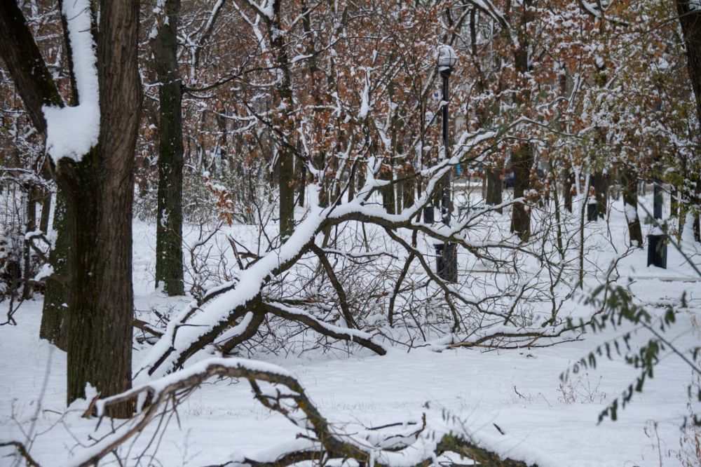 ����� �����, ��������� ����� �������, ����� ��������, �������� � ����� �����