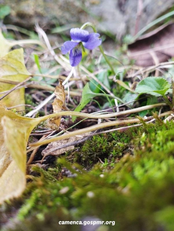 ���� ������ ������ � ����������� ��������� �������� ������, ������ ������� ������������� �������������� ������