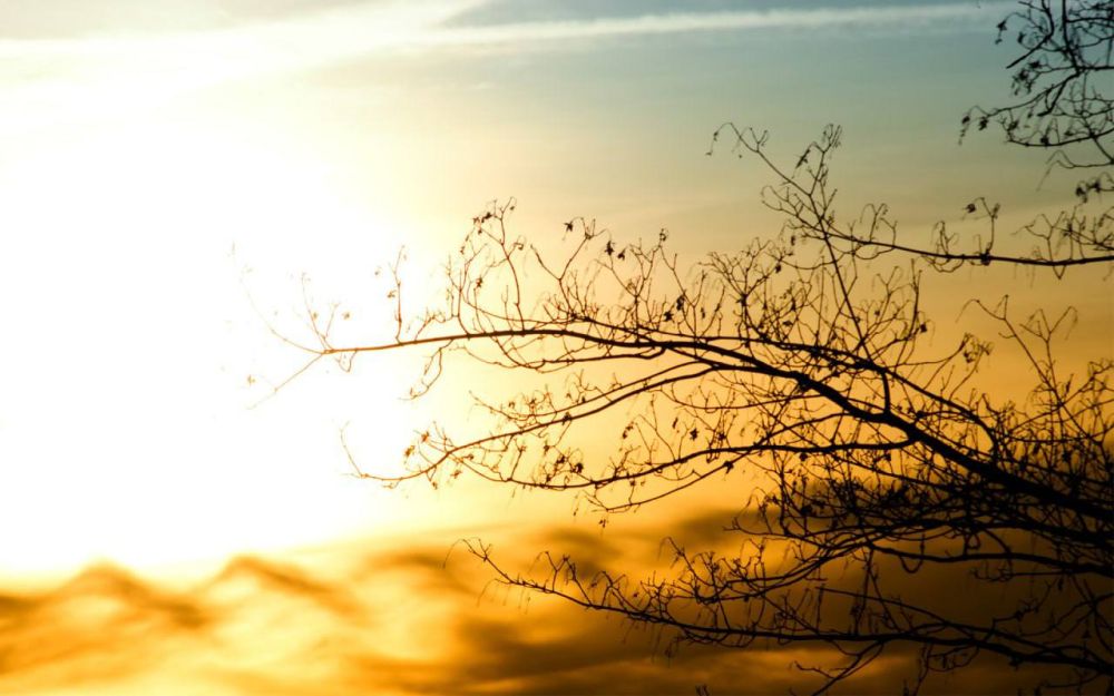 �� 2023 ��� ����������� ������� �� ���������� ���������� ���� �� 3 ������� ���� �������