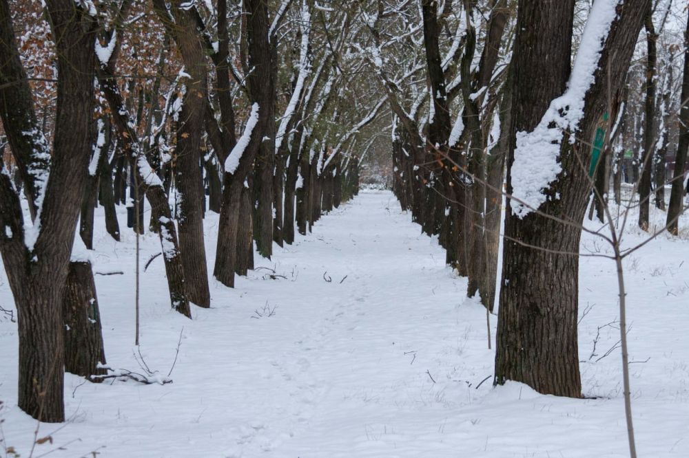 ���� ����� ������� �� ���������, ���� �� ������ ������� �� ���, ���� ����� � �� ��, �� ��� �����