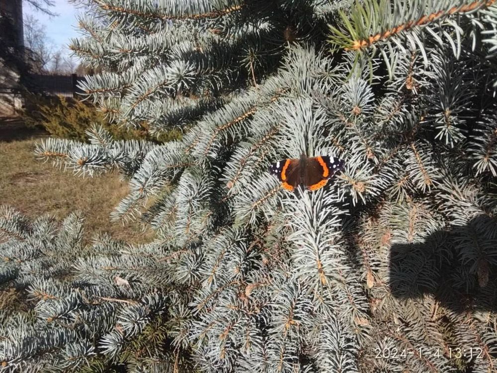 � � ������������� ������� ��������� ������� �� ��������