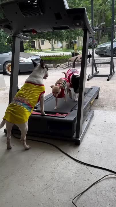 ��������� ������ �� ����� ���������