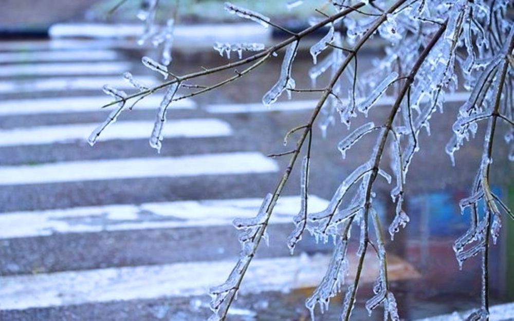 ��������� ��������������!