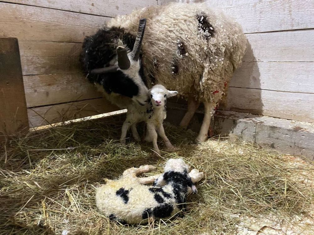 ������� ����� � ������� ����������� �������� �������� ��� ������� � ���� ������� �����!