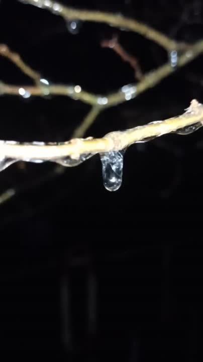 ������� ����� ��� � �������