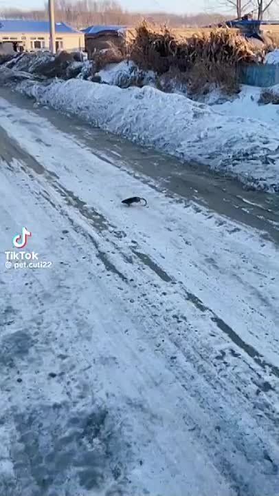 ������ �� ������� ������. � ������� ���