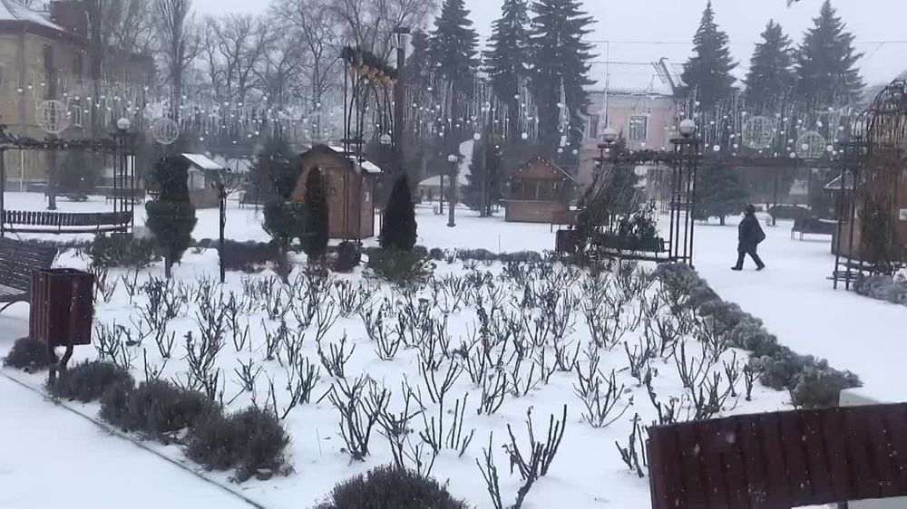 ���� ����� ���� �� ����� ����, �������� �������� �����