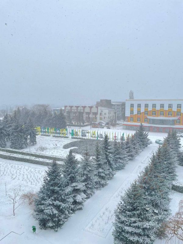 ���������. ����� ������