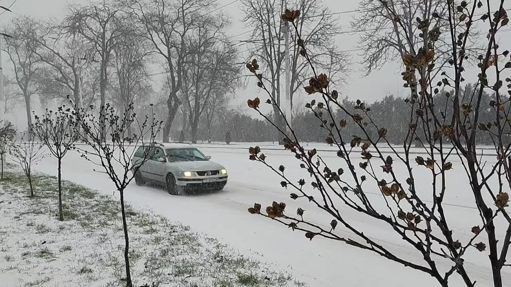 ������� ����� �������� ����������