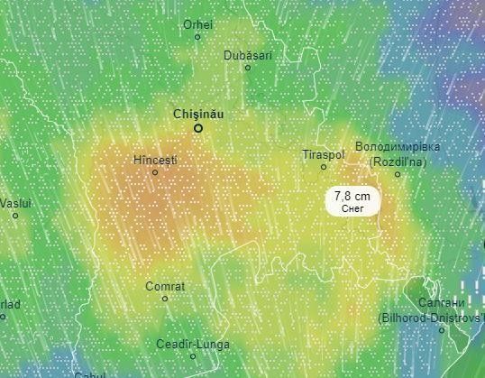 ���� ��������� �����������