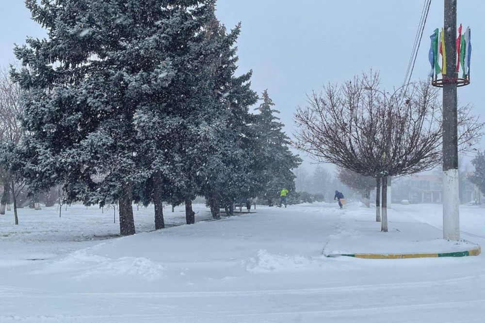 � ���������� ��������� ����������� ��������