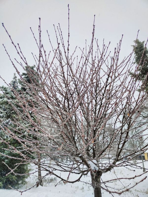 ����������� �������� � ��������� ������