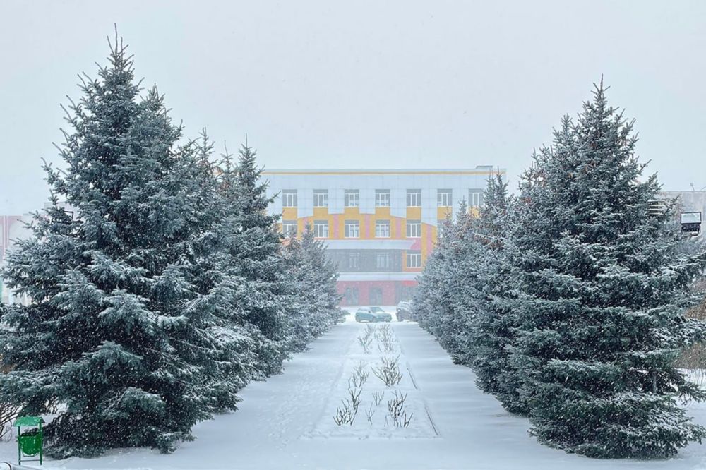 ������� ������ � ����������