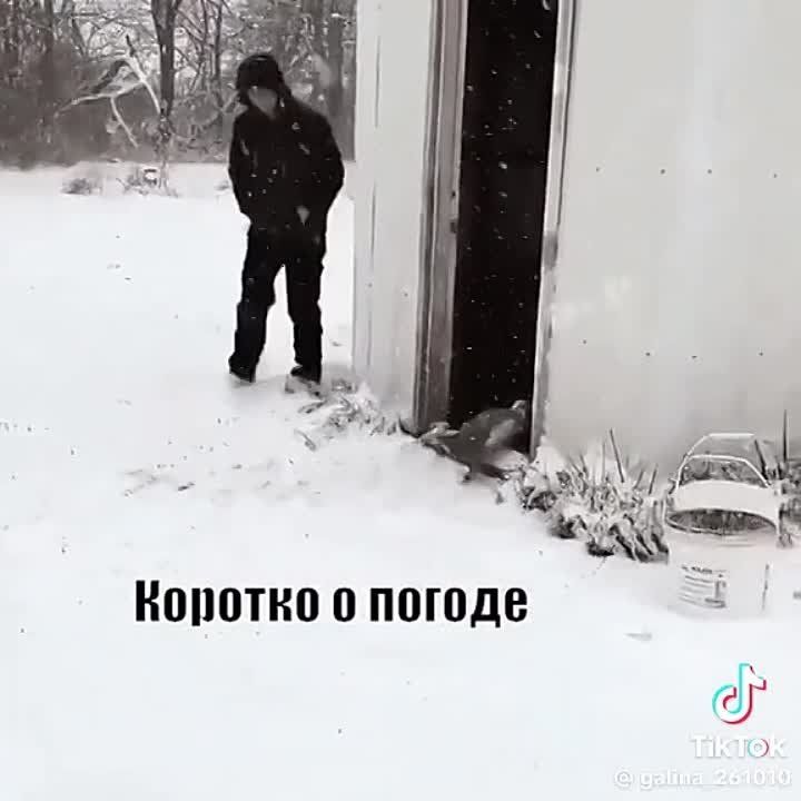 �� ���� ���������� �� ������