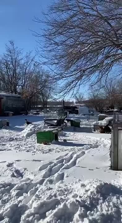 ������ � ���������� ������ ������� �� ������