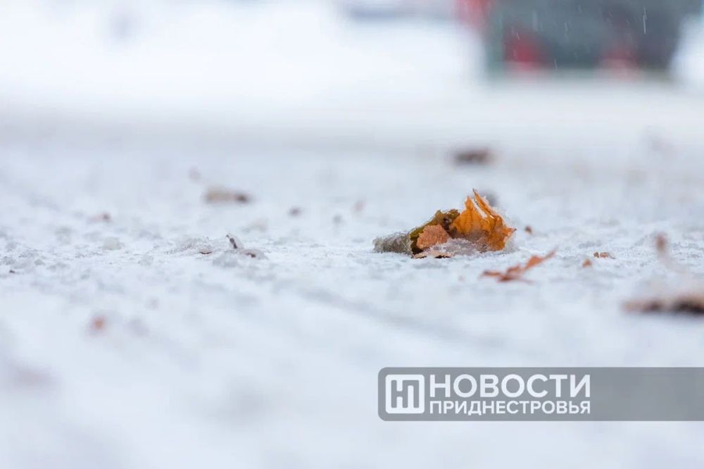 12 ��� ��������� ����� � �������������