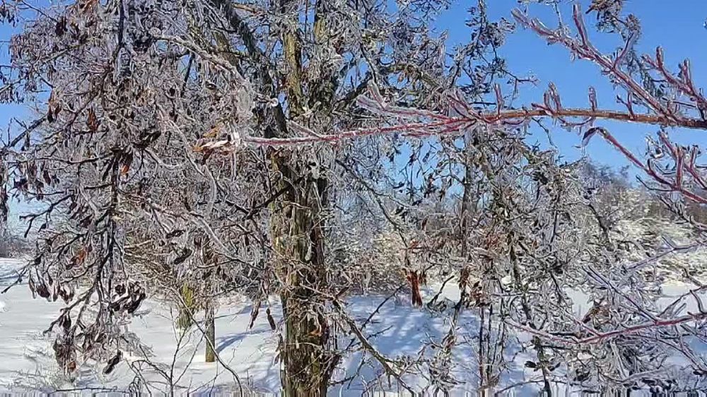 ������� ������� � ������������ ������