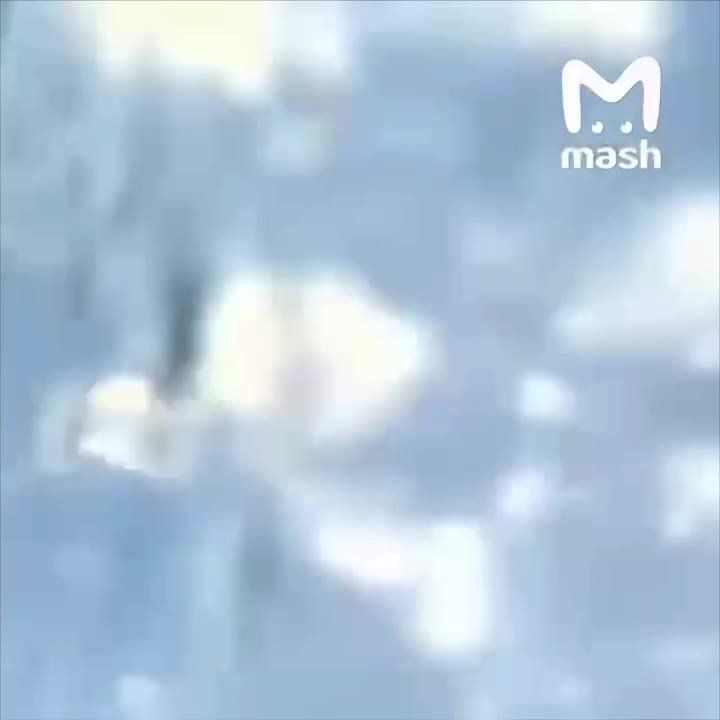 ������ "��� ������ �� ����" �������� ������� �� ��������� ������� ������