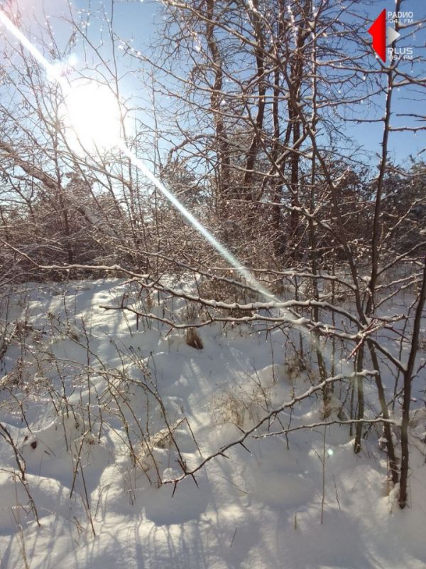 �������� ���� � �������