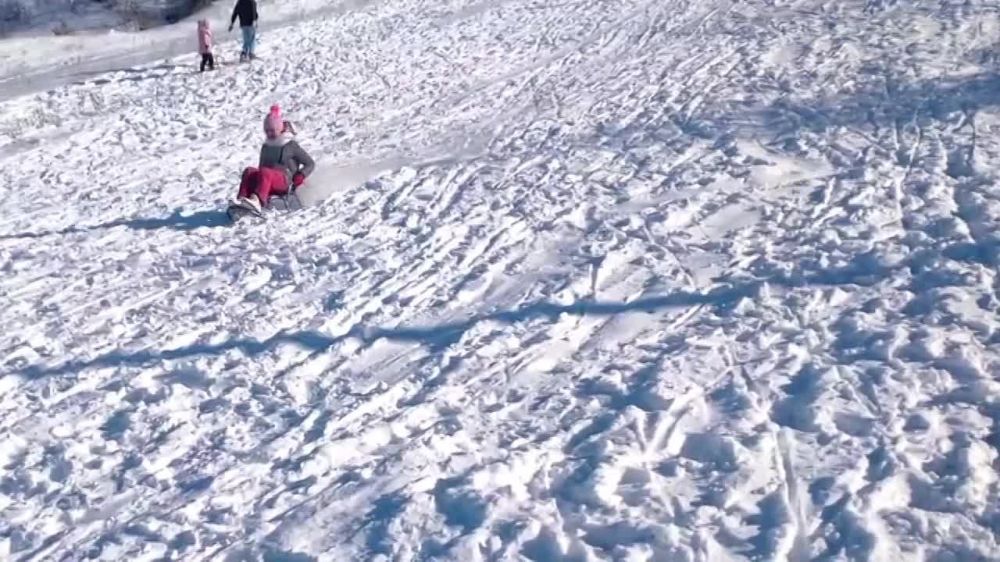 ���� ������ ������� �������