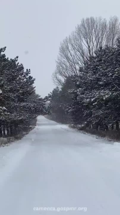 ������ ������ � �������