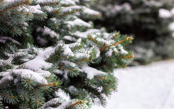 ������, ������� ����� ������� ���� ������ � ���� ���� � ������ � �����